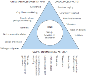 Framework for the Assessment of Children in Need and their Families